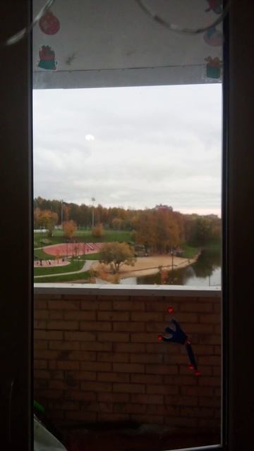 Если вы хотите чтобы у вас дома такая прилипала ездите на МЦД 2 D2