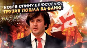 Брюссельский кошмар: Грузия берет на вооружение русский метод борьбы с майданами