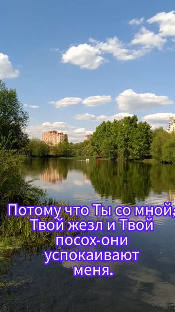 Духовность и молитва.Повышение вибраций.Псалом 22#анохина #духовность #молитва #вибрации #shorts смотреть онлайн