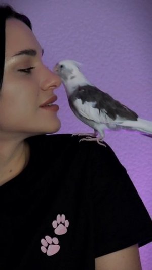 У вас тоже так?