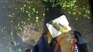 рыбалка и охота