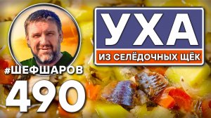 Уха из селёдочных щёк. Как приготовить самую вкусную уху? Рецепт идеальной ухи. #шефшаров #уха