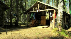 Ремонт Избы , Когда что-то Пошло не Так , Гон Лося