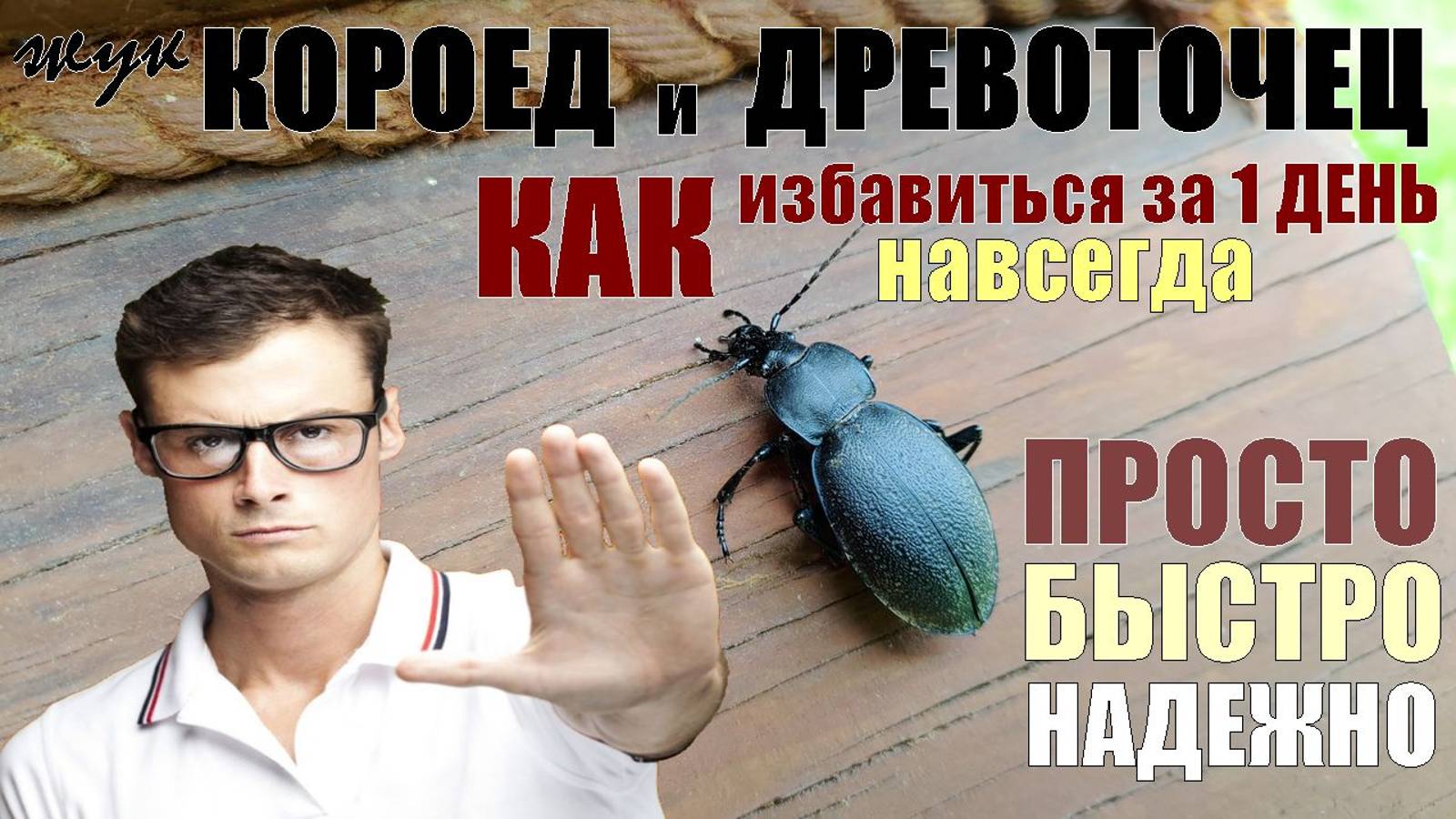 КОРОЕД и ДРЕВОТОЧЕЦ точит сруб? Как избавиться от жука ДРЕВОТОЧЦА и личинок КОРОЕДА навсегда за день смотреть онлайн