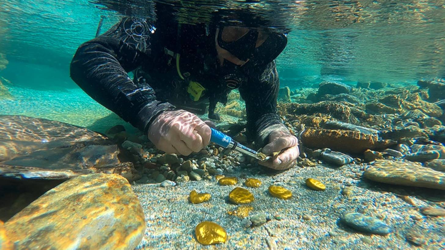 Это больше не миф 😱 Учёные превратили дешёвый металл в золото ✨ смотреть онлайн