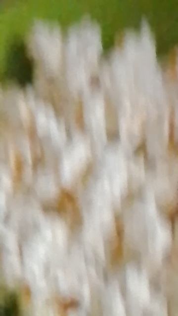 попкорн смотреть онлайн