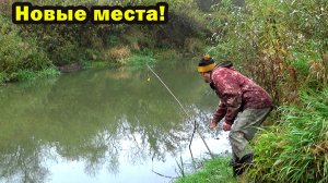 Рыбалка 5 октября на новых местах на малой реке на жерлицы на хищника!