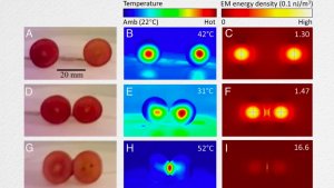 Как возникает плазма в микроволновке?
