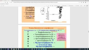 Физиология растений