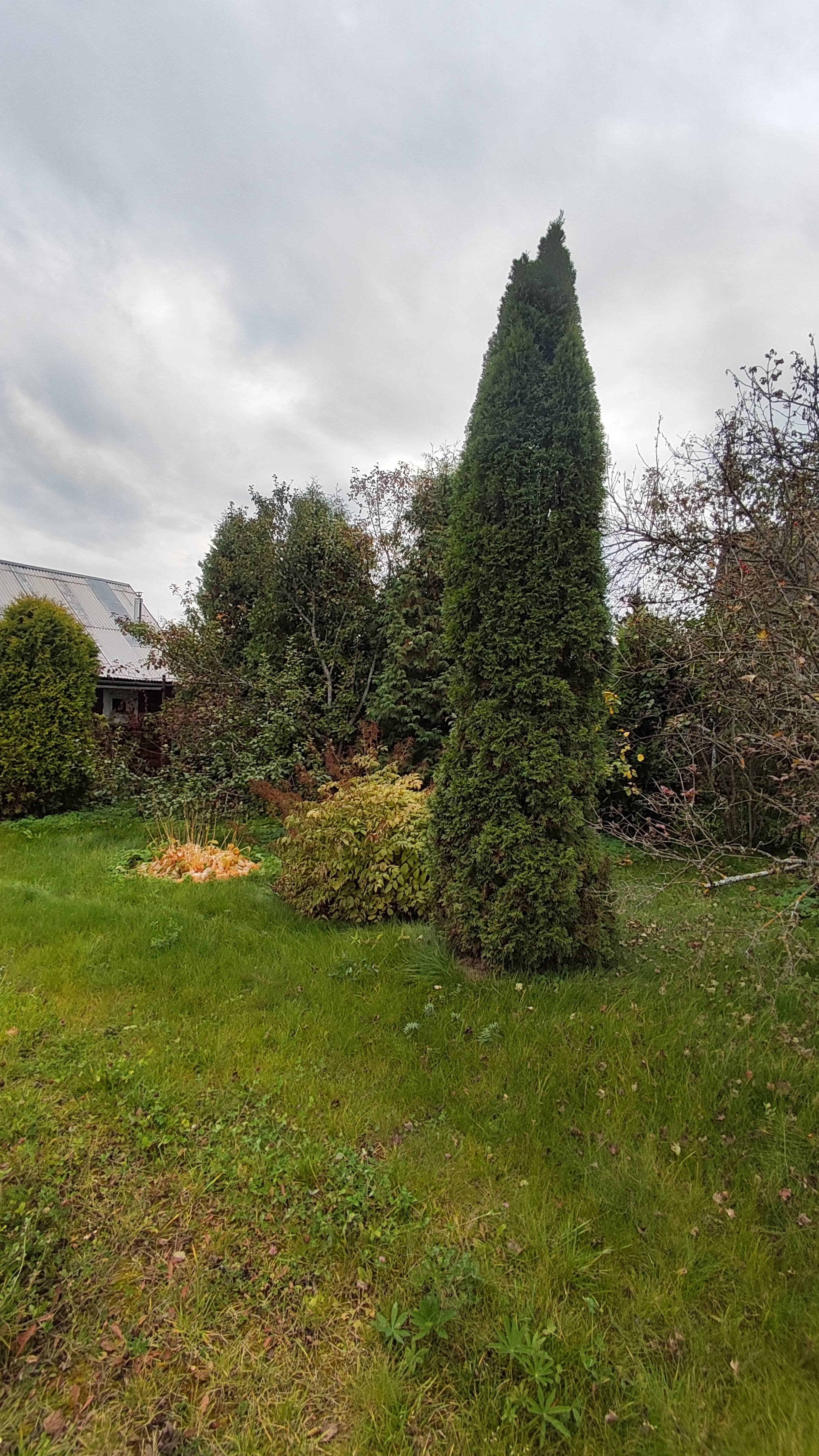 Продажа участка 6 соток с баней