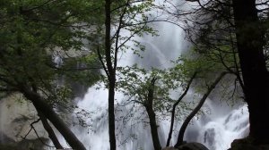 Медитация «Высокие вибрации»