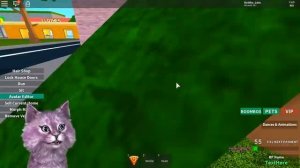 Я УТОЧКА, УДОЧЕРИТЕ МЕНЯ! УТКА ЛАНА играет в роблокс Adopt and Raise roblox