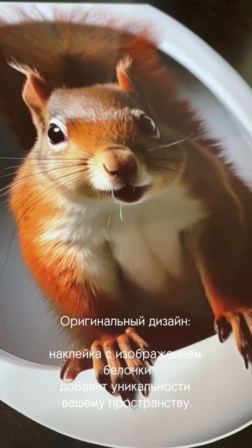 3D Наклейка на крышку унитаза Белка