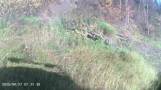 MOV00038 смотреть онлайн