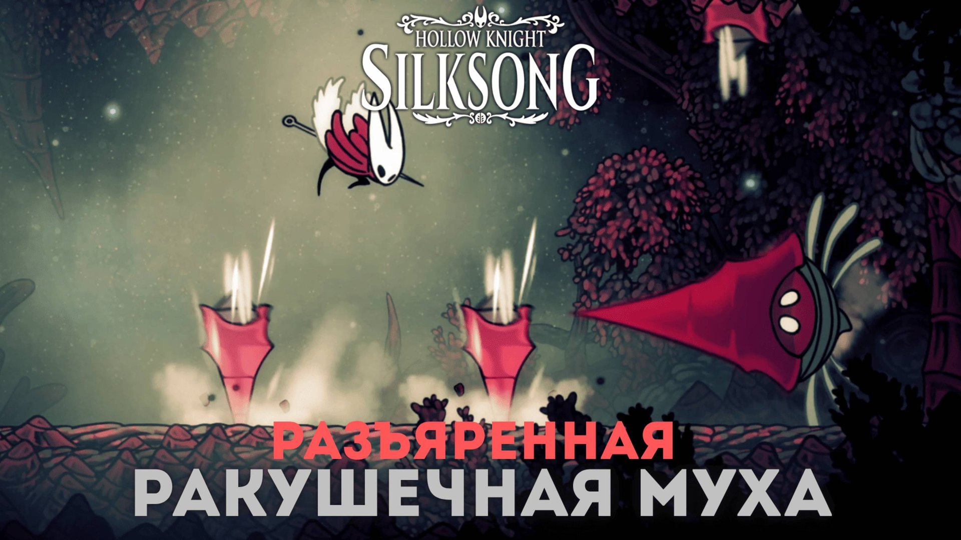 Разъяренная ракушечная муха - Босс Hollow Knight Silksong смотреть онлайн