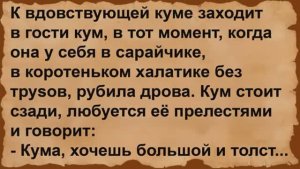 Про вдовствующую куму в сарайчике и кума. Сборник анекдотов