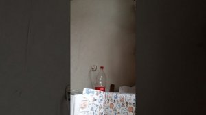 распаковка первая часть