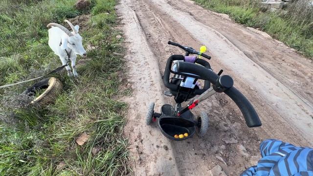 VLOG: ШАХМАТНЫЙ КЕКС /ОПЯТЬ ОКНА/ ПОКУПКИ/ ГРУБИЯНКА/ПРО ЗАПОР смотреть онлайн