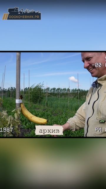 Какие только интересные случаи не происходят с нашими работниками на объектах по расчистке от ДКР смотреть онлайн