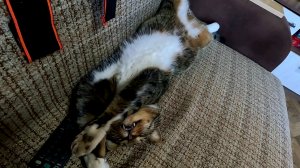 Это того стоит... И зубы наружу...