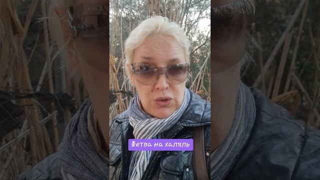 Фетва на халяль смотреть онлайн