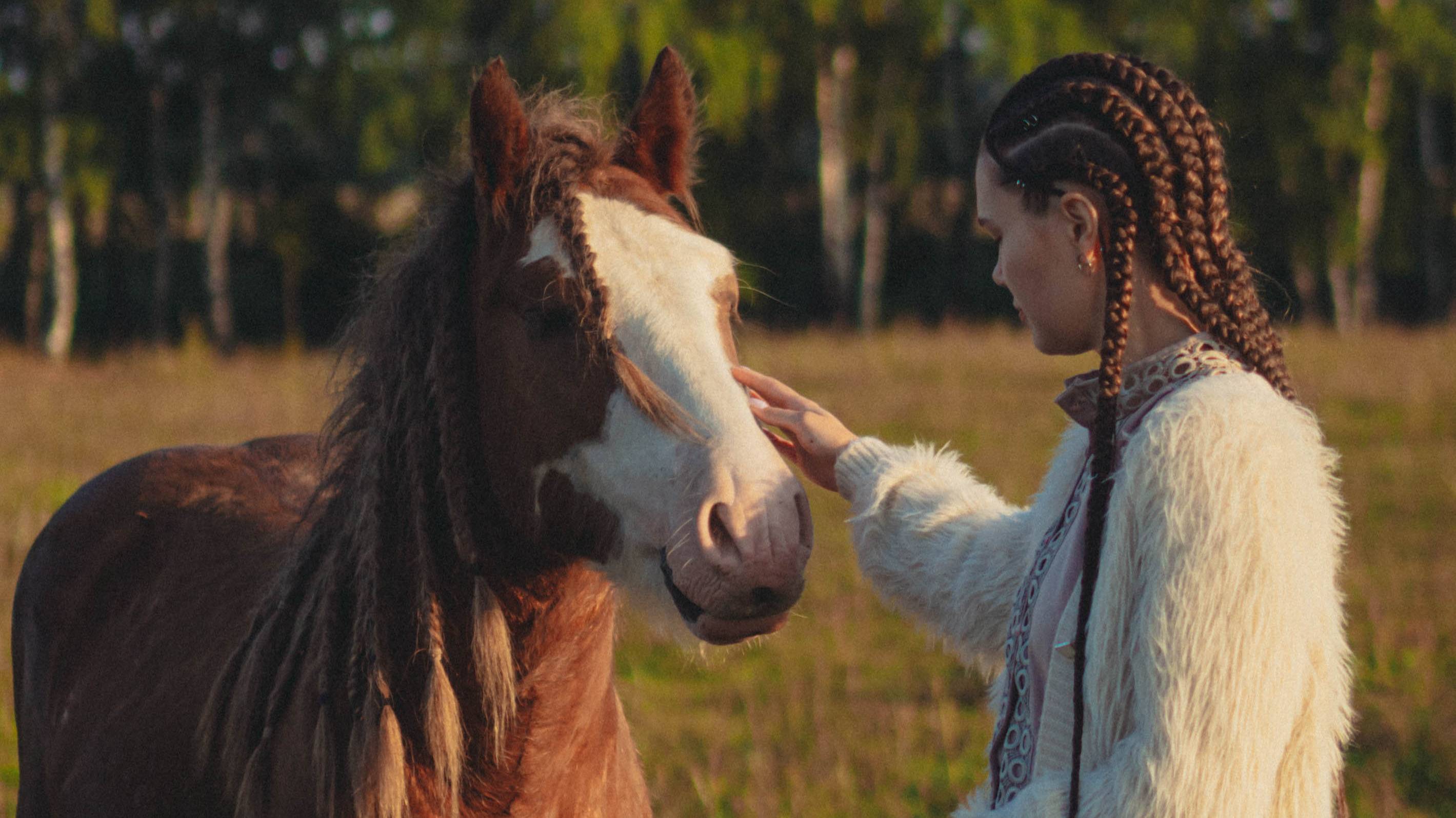 влог на ранчо