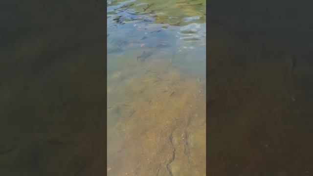 национальный парк Китая