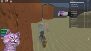ПРЕПЯТСТВИЯ в РОБЛОКС #2 roblox КОШКА ЛАНА играет
