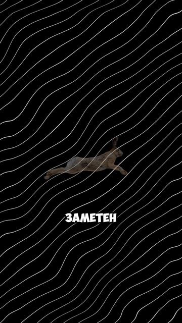 ПОЧЕМУ ТВОЙ ТЕПЛОВИЗОР – СЛЕПНЕТ?! #тепловизор #охота #тепловизордляохоты #оружие #патрон смотреть онлайн