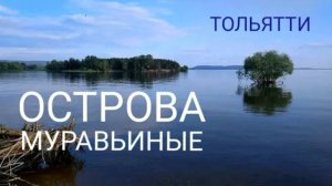 Муравьиные острова | Тольятти. Небольшая вечерняя экскурсия на острова