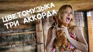 Цветомузыка – Три аккорда (Lyric video)