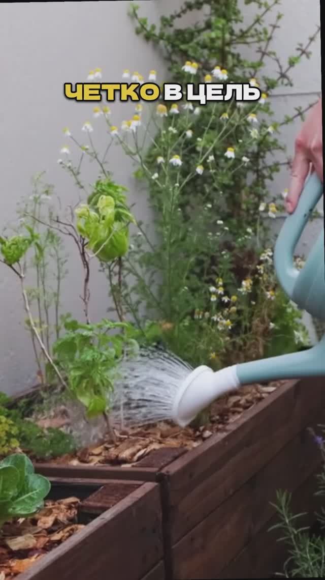 ТАКОЙ ПОЛИВ ГУБИТ ваши растения! Поливайте правильно! 🌱💦 смотреть онлайн