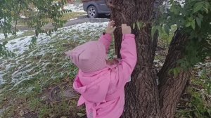 Вешаем кормушку для птиц