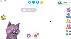 ПЧЁЛЫ В АДОПТ МИ В РОБЛОКС! ОН ВСЁ ЕЩЁ СЛЕДИТ ЗА МНОЙ?!