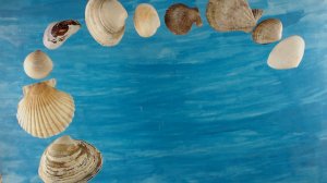 Морская спираль. Мультипликационный этюд.