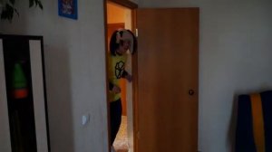 Барбоскины Вечные ценности Пародия