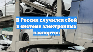 В России случился сбой в системе электронных паспортов