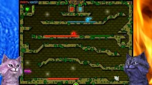 ОГОНЬ и ВОДА приключения в ЛЕСНОМ ХРАМЕ #2 КОШКА ЛАНА и КОТ ЛЕО играет