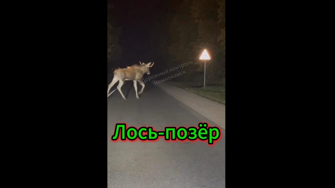 Вестник Событий 3