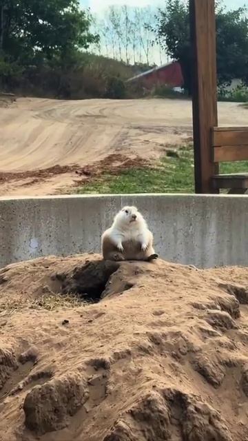 Когда ты понял всё в этой жизни.