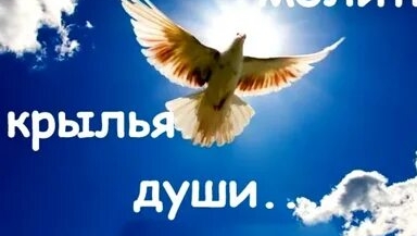 Песня:,,Прими благодать" смотреть онлайн