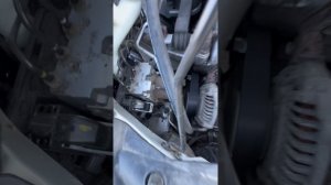 Капсула времени Хонда Цивик с одним собственником