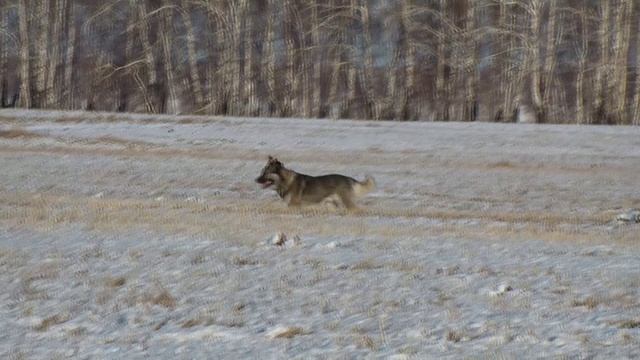 Прогулка в поля 15.12.21
