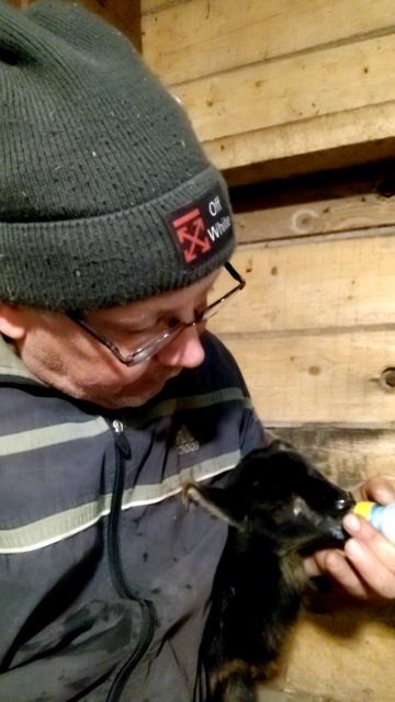 Трогательная история одной маленькой овечки 🐑🍼