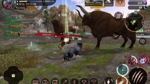 The Wolf Coop
