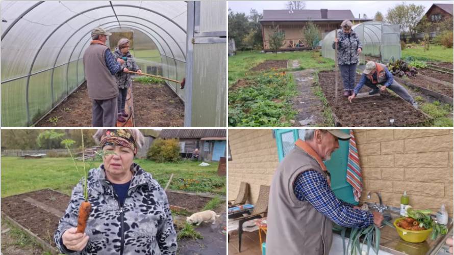 ПОМЫЛИ ТЕПЛИЦУ, ПОСАДИЛИ ЧЕСНОК, ВЫКОПАЛИ МОРКОВКУ И ПОРЕЙ. смотреть онлайн
