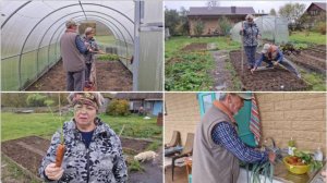 ПОМЫЛИ ТЕПЛИЦУ, ПОСАДИЛИ ЧЕСНОК, ВЫКОПАЛИ МОРКОВКУ И ПОРЕЙ.