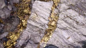 Вот как надо искать Золотую Жилу!