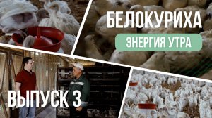 Белокуриха. Вкус жизни. Выпуск 3: Энергия утра