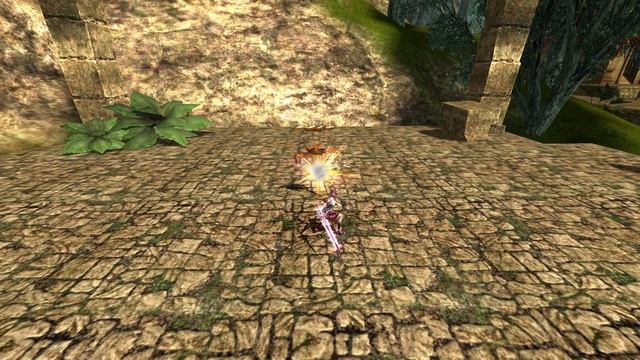 Облик Воина Мунэльфа – Чарм (ближний бой)